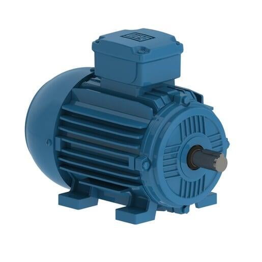 Products & Services GEM Electric Motors
